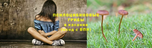 бошки Верея